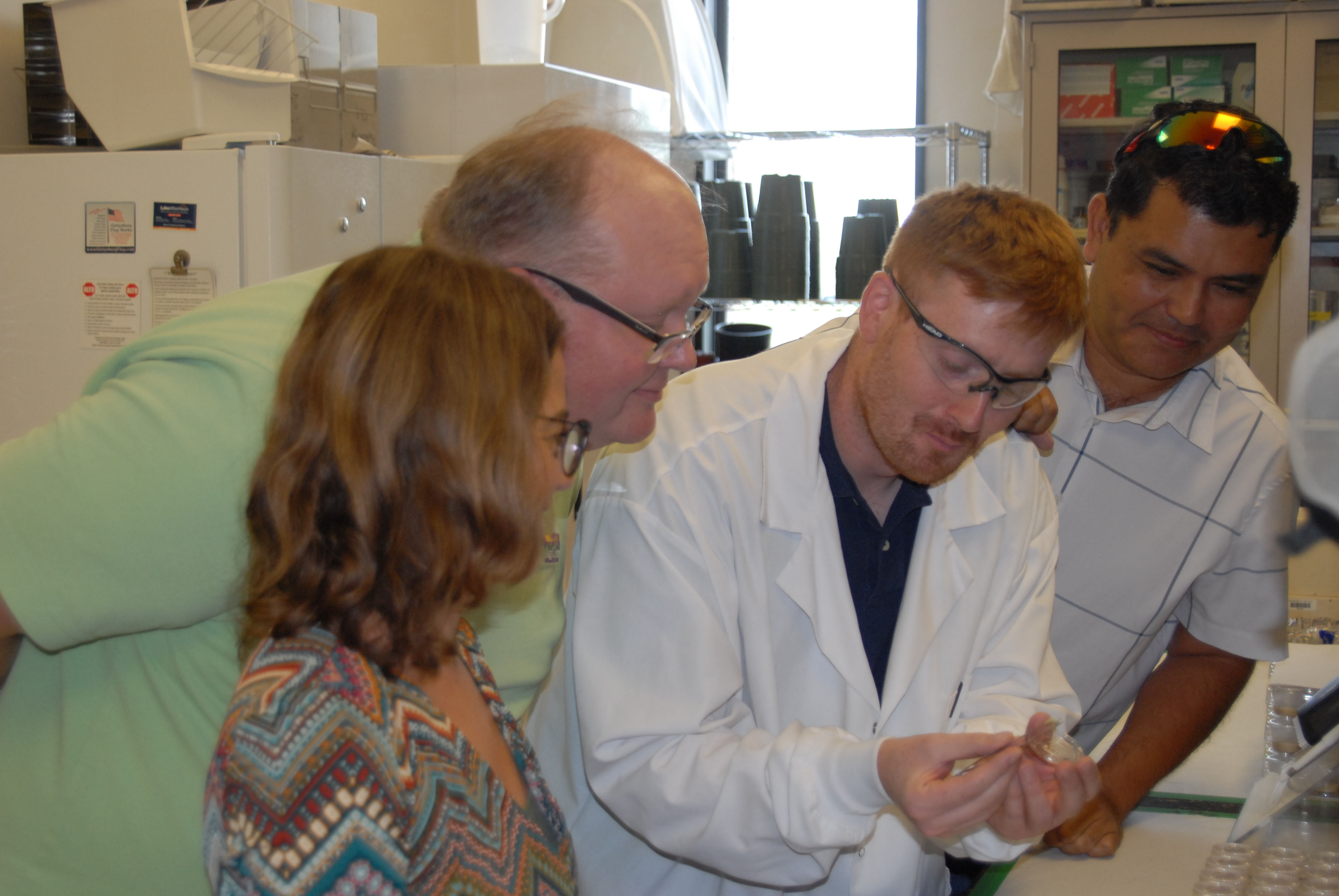 AgCenter researcher applies nanotechnology to pesticides 